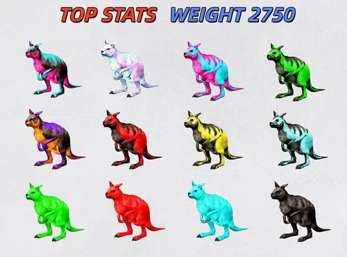 Ark Survival Ascended PVE Procoptodon Top Stats  XBOX/PC/PS5