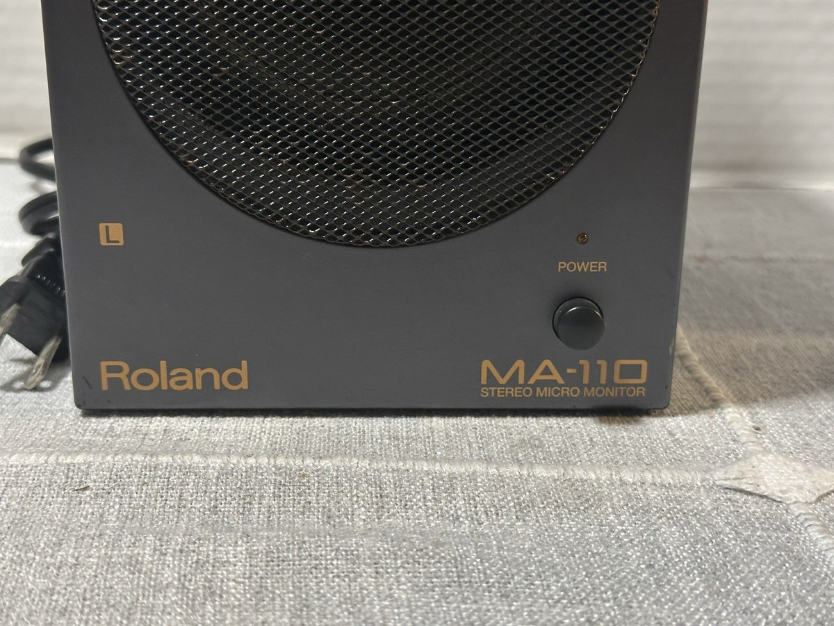 Roland MA-110 Micro Monitor Speaker (Single) | eBay