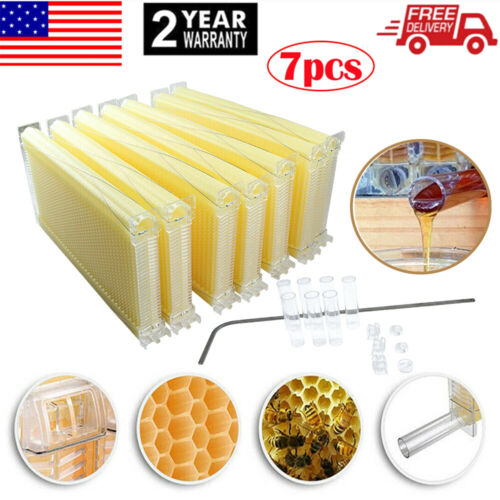7PCS Free Flowing Honey Hive Beehive Frames Honeycomb Set For Beehive House Box