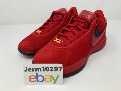Nike Lebron XX レブロン20【年末年始のみ】 New Nike LeBron XX 20 