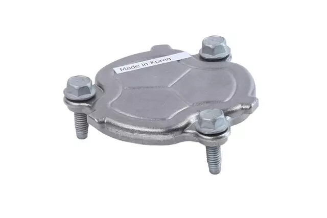 Genuine GM Engine Cylinder Head Opening Plate 12589459