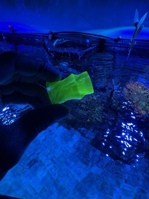 Kryptonite Green 3/4  Loc Line Flow Generator | Reef Tank Upgrade | PETG
