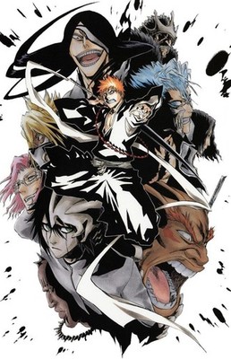 Bleach Poster 11x17 Espada Character Print Ichigo Kurosaki
