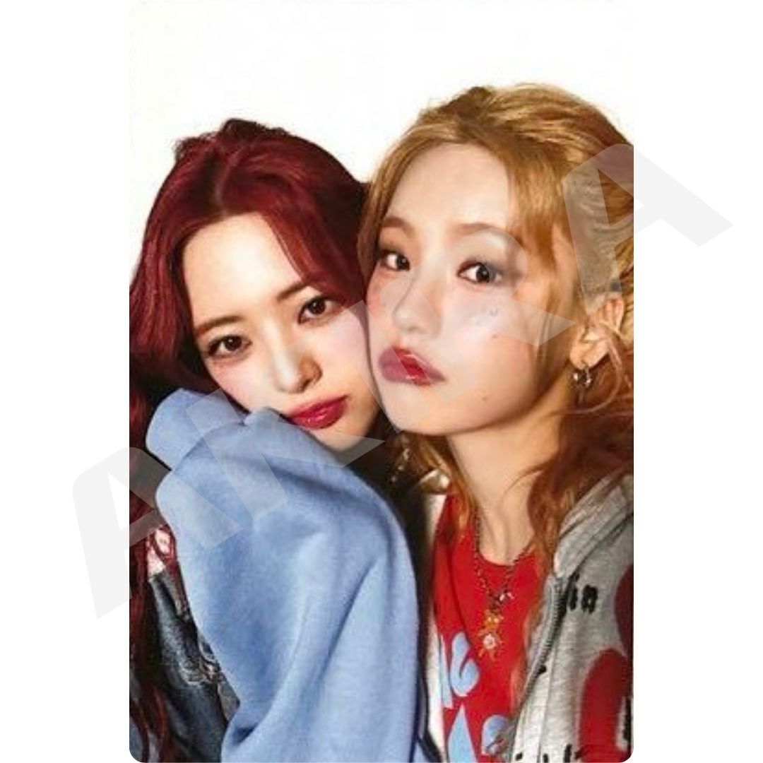 ITZY Algorhythm STANDARD LIMITED MIDZY ver. OFFICIAL PHOTO CARD