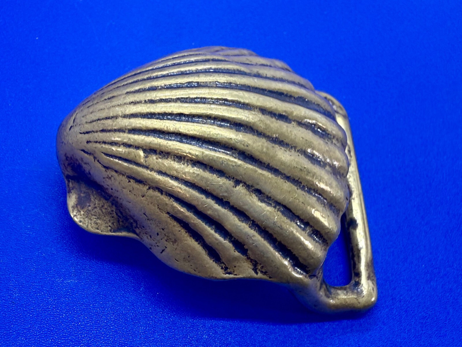 Seashell Clam Shell Nautical Ocean Theme Figural … - image 3