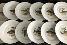 12 assiettes service à poisson porcelaine Allemagne - Schumann Arzberg Bavaria