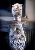Diamond Painting Set 5D Katze Tiger 30X40Cm Diy Malerei FüR Erwachsene Kinder