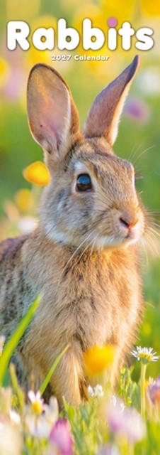 Rabbits Slim Avonside Publishing - Image 2