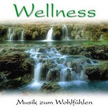 Wellness-Musik Zum WohlfüHlen 2 Von Wellness | CD | Zustand Neu-image