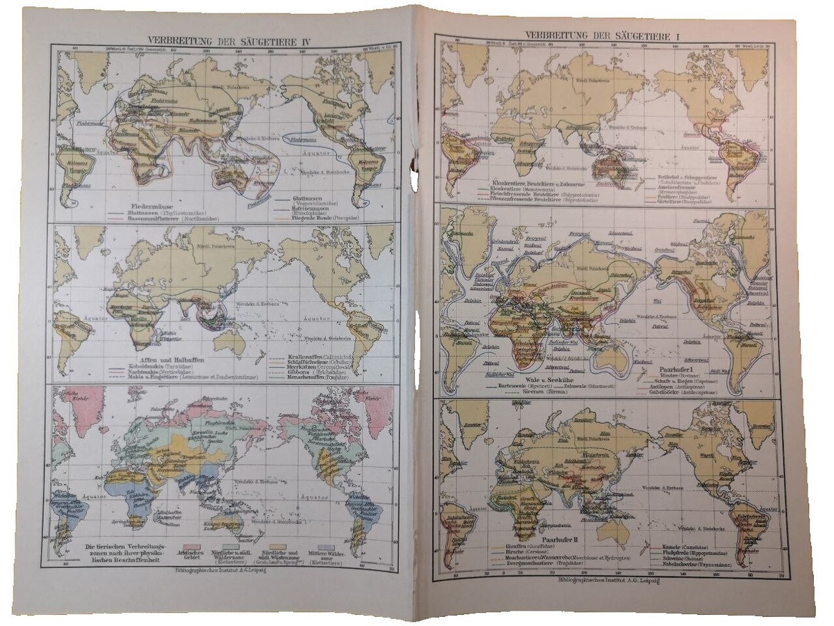 Vintage Reproduction 1800-1899 Antique World Maps & Atlases