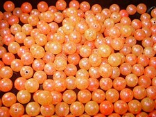 NEW!! SALMON BLOODLINE PURPLE IRIDESCENT Trou...