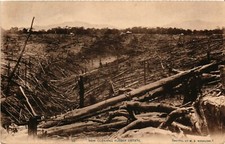 Japan, Nakajima, New Clearing Rubber Estate, Vintage Postard