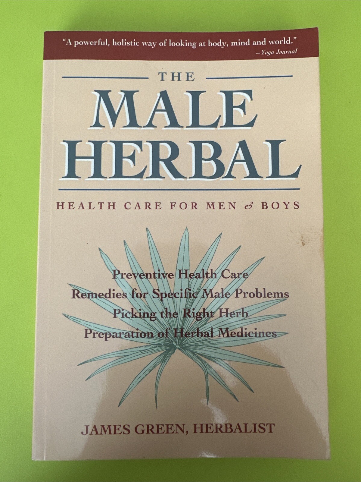 The Male Herbal : Health Care for Men and Boys Hardcover James Gr