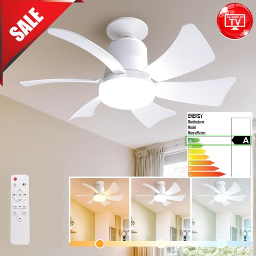 Socket Fan Light with Remote Ceiling Fan Lights Dimmable E26/27 Socket Fan Light