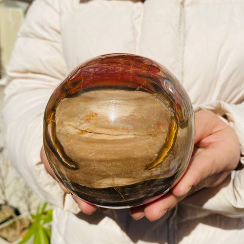 Esemplare da esposizione sfera agata fossilizzata fossile legno pietrificato grande 1460 g - Foto 11 di 11
