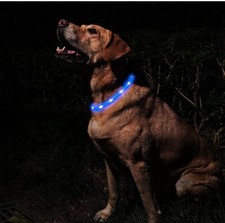 Light Up Glow Dog Collar Night Safety Adjustable LED Rechargeable Waterproof New