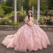 Shiny Pink Floral Ball Gown Quinceanera Dress Lace Applique Beading Bow Sweet 16