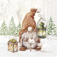 Ihr Fiete Cocktail-Servietten Papier-Serviette Serviette Wichtel Winter 25X25 Cm
