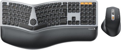 ProtoArc Ergonomische Kabellose Tastatur Maus, EKM01 Plus Full Size Space Gray 