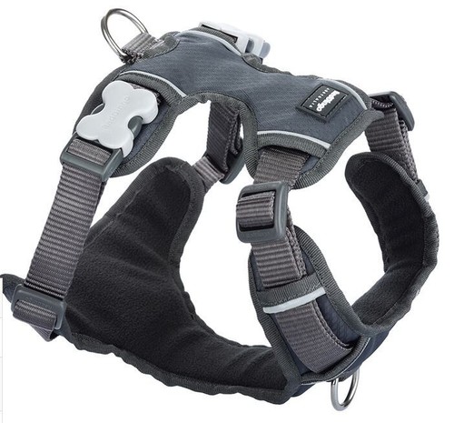 Red Dingo Padded Dog Harness Plain, Medium 20mm - Picture 4 of 11