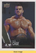 2021 Upper Deck AEW All Elite Wrestling Rainbow Foil Brian Cage #45 READ 3n2