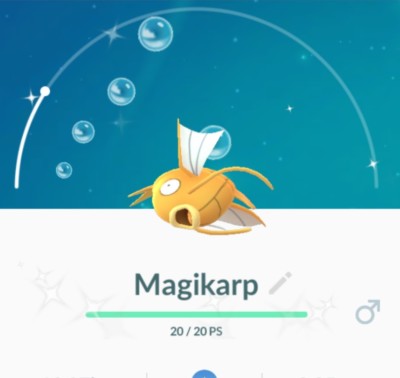 Pokémon Shiny Magikarp 33 33 - Very expensive fish - My Pokemon Card