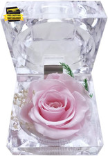 Preserved Rose Real Forever Rose in Mini Clear Ring Box, Eternal Flower Rose Gif