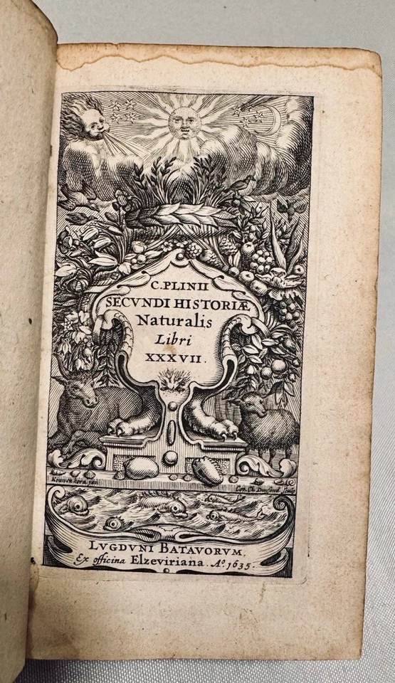 1635 - Pliny the Elder Natural History 3 Vol - Naturalis Historiae - ELZEVIR 1st Foto 3 de 4