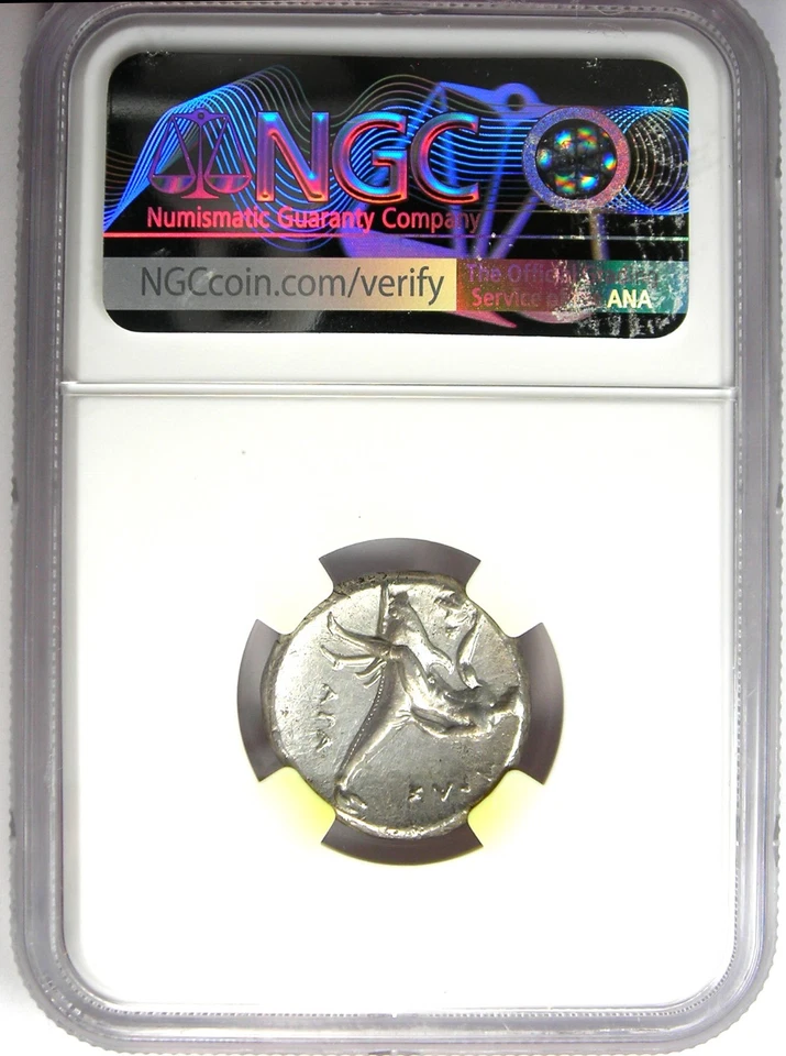 Moneda Caballo Delfín Plata Calabria Taras AR Didrachm 302 aC - Certificada NGC AU Foto 3 de 4