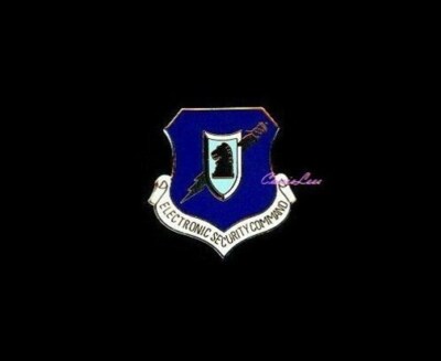 USAF Elect Sec Cmd Shield  + a custom promo pin 