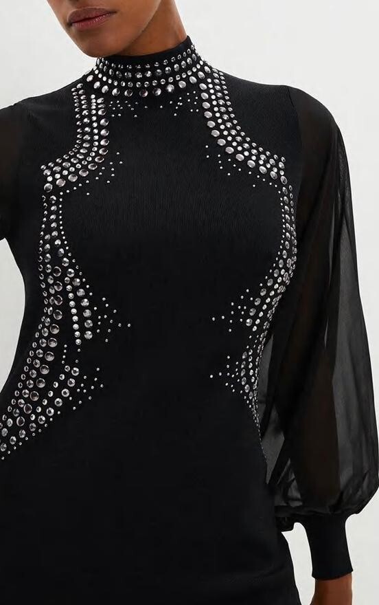 BNWT Coast UK12 Fitted With Mesh Fullsleeve Dress Black Genuine Sold Out image 4