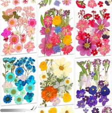 120 PCS Real Pressed Flowers, Natural Dried Pressed Flowers for Resin, Dried Flo
