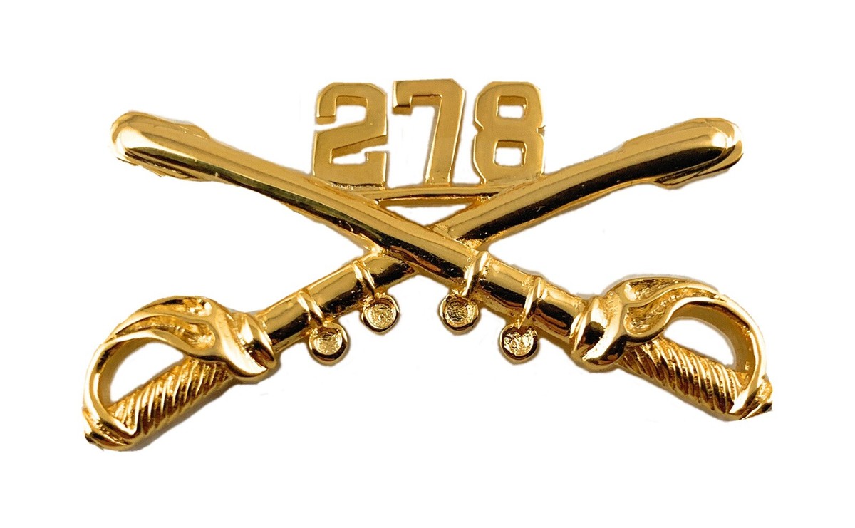 🌟US Army 278th Armored Cavalry Regiment ACR Gold Crossed Sabres