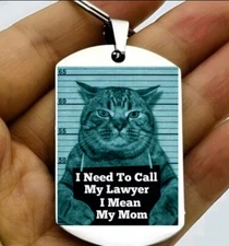 Kitty Cat Mug Shot Gettig A Lawyer Hot Funny Joke Prank Keychain