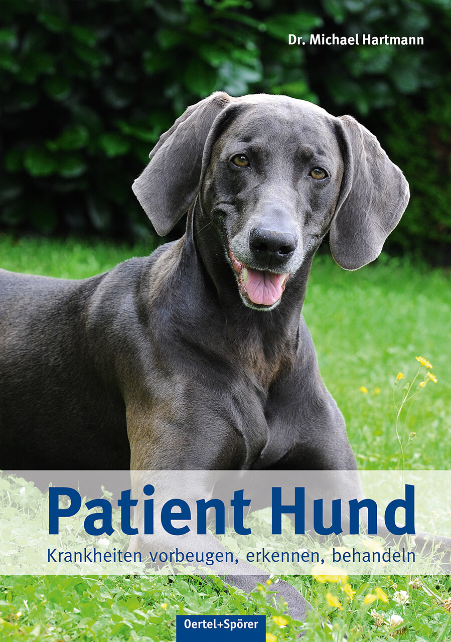 Thumbnail - Michael Hartmann / Patient Hund