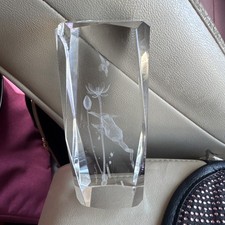 5&rdquo; 3D Laser Etched Frog Crystal Paperweight