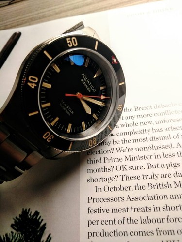 Aquatico Sea Star V2 42mm Automatic Swiss Movement Men's Diver Watch Black Dial - Picture 2 of 10