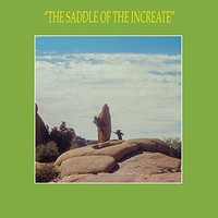 Sun Araw - Saddle Of The Increate - Cd - G3Z