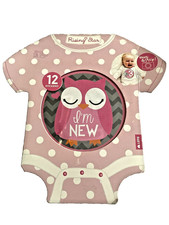 Baby's First Year Belly Stickers Milestone First Year Stickers 1-12 Months New