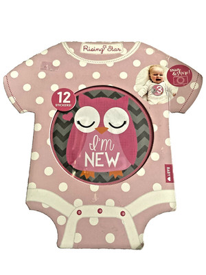 Baby's First Year Belly Stickers Milestone First Year Stickers 1-12 Months New
