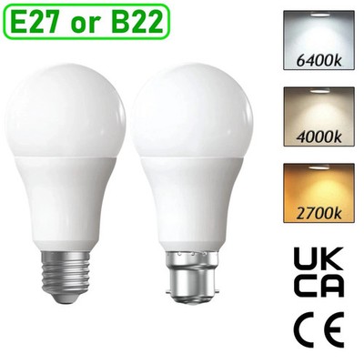 LED GLS GLÜHBIRNEN 40W 60W 100W WARM/KALTWEISS BC/B22 ES/E27 Bajonett Tageslicht