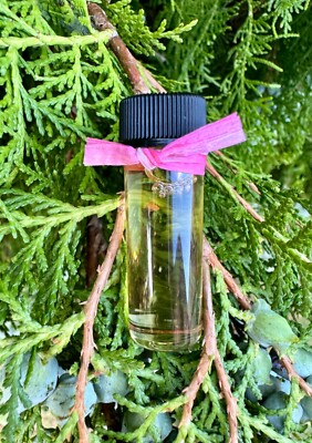 New Natural Blue Spruce Premium Home Fragrance Oil - 4 ml