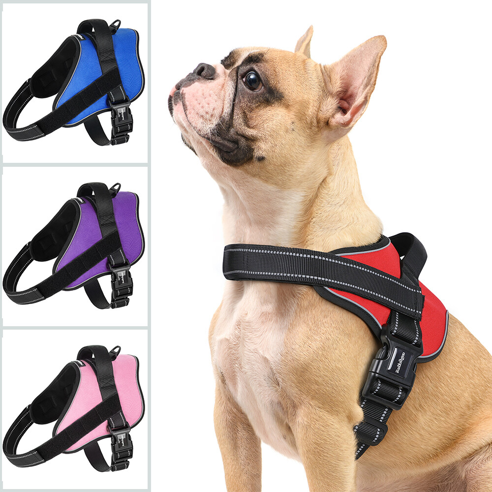 rabbitgoo No Pull Dog Harness with One Buckle Reflective Adjustable No Choke