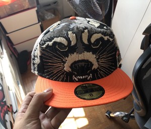 raccoon baseball cap