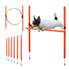 Dog Training Equipment Portable Jumping Tool Outdoor Running Pet Agility Set