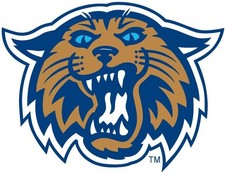 Villanova University Sticker NCAA Football Die Cut Laminated