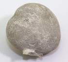 Foto 2 di 7