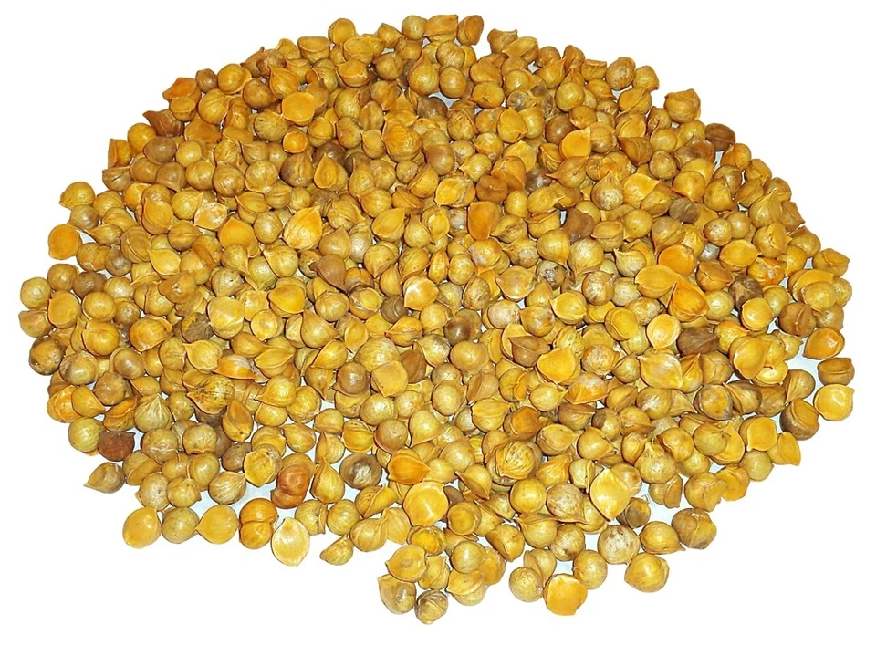 Ajo Japones 100% натуральный, AJO CHINO, веганский, дикий японский чеснок - Изображение 2 из 3