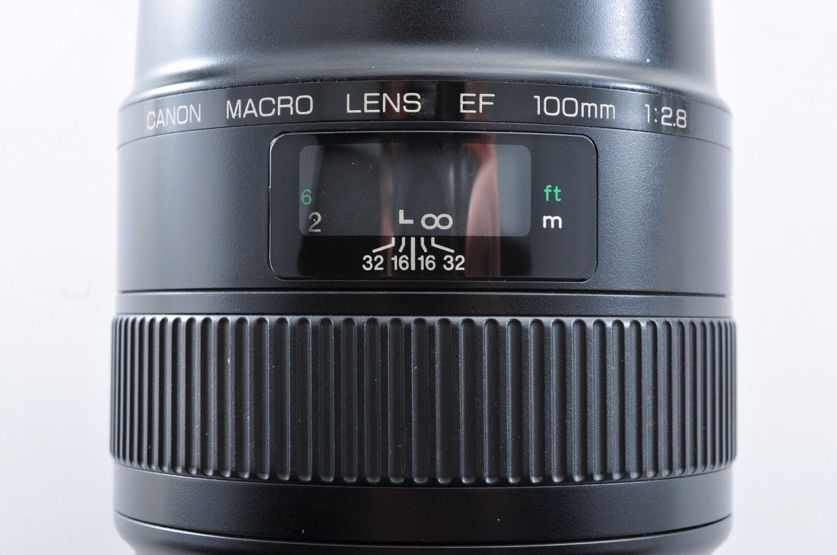 Near Mint ] Canon EF 100mm f/2.8 Macro Lens for EF Mount