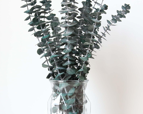 Dried Eucalyptus Stems for Shower 17" Real Leaves Branches for Vase Filler, Home - Picture 3 of 12
